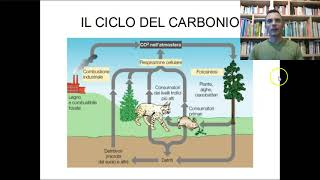 Il ciclo del carbonio [upl. by Essa]