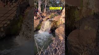 ✨Today ✅Hogenakkal Cini 🌊👊👨‍👩‍👦‍👦WaterFalls falls waterfall hogenakkal ontrending shortsfeed [upl. by Giarla426]