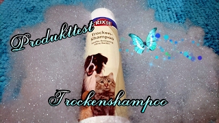 Trixie Trockenshampoo im Test  Produkttest [upl. by Edyak]