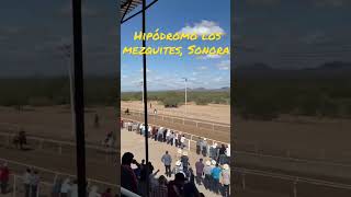 Hipódromo Los Mezquites caballos horseracing carreras [upl. by Ambrosi]