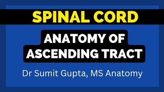 ASCENDING TRACTS OF SPINAL CORD An Overview [upl. by Schram]