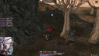 Lineage 2  Small PVP in Varka  Elmorelab Teon x1 C4 [upl. by Karola]