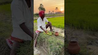 తాత రోజు ఇలానే తింటాడు🙏 Rajayavlogs rajayavlogs laxmaiahvlogs farmer water sunset food [upl. by Herb]