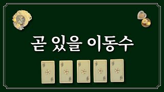 곧 이동수가 있을지 카드를 선택해 보세요feat취업이직이사 포함 [upl. by Rogozen318]