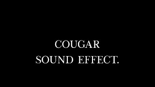 Energetic Cougar Roaring in the Wild Sound Effect [upl. by Atem864]