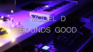 Behringer Model D  Sounds Good  simple ambient jam [upl. by Alekim615]