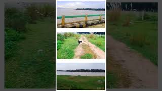 Subarnarekha River ❤️  Short video [upl. by Harve]