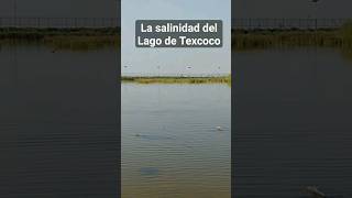 La salinidad del Lago de Texcoco [upl. by Aicyla997]