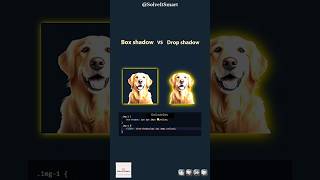 🥵🔥 Box Shadow VS Drop Shadow in CSS  Solve It Smart [upl. by Cedar908]