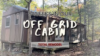 EP 13 SHED TO OFF GRID CABIN living in it while we renovate in 8 weeks [upl. by Araccot703]