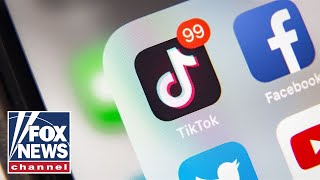 Is TikTok really a danger to Americans  FOX News Rundown [upl. by Lehcor970]