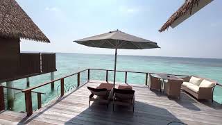 Maldives North Ari Atoll  Kandolhu Maldives  Ocean Villa  80 sqm  room 204  video room tour [upl. by Lytsirk]