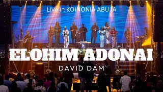 DAVID DAM  ELOHIM ADONAI “This is Kingdom Come” at KOINONIA ABUJA [upl. by Brockie]