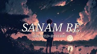 Sanam Re song slowed reverb lofi [upl. by Sussna252]