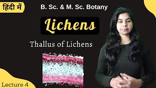 Lichens  Thallus of Lichens  in Hindi  Botany  B Sc amp M Sc [upl. by Viddah]