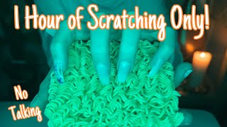 ASMR  1 Hr of Aggressive Scratching  30 Items  No Talking  ASMRVilla [upl. by Nostrebor]