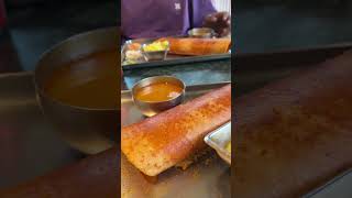 TRIED DOSA AT CARNATIC CAFE 😋😋😋 shorts foodie foodvlog foodies foodiesofindia [upl. by Zuliram401]