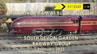 Live Steam Garden Railway at Buckfastleigh [upl. by Aicinod]