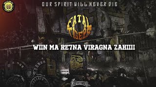 NEW CHANT ULTRAS FATAL TIGERS 2006  WIN MA RE7NA VIRAGNA ZAHI 🙌💛 [upl. by Norvell]