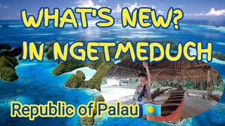 NGETMEDUCH KOROR REPUBLIC OF PALAU 🇵🇼 micronesia oceana islandlife [upl. by Duma]