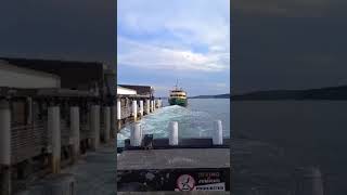 The ferry MV Collaroy is departing Manly Wharf on either its second last or very last day of use [upl. by Eirrod519]