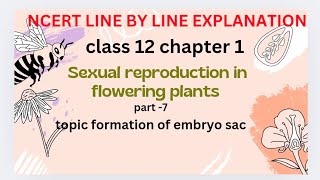 formation of embryo sacsexual reproduction in flowering plants NCERT line by line explanation [upl. by Aidas]