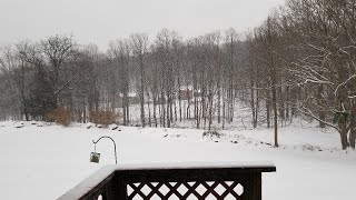 Snow Cam From My Backyard [upl. by Ttelrahc169]