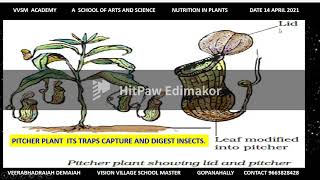 BOTANY CARNIVOROUS PLANTS [upl. by Rechaba]