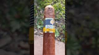 Cohiba Siglo VI cohiba cubancigar [upl. by Donoghue128]