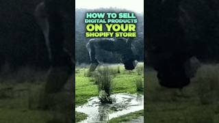 How to sell digital products on Shopify [upl. by Aeneg]