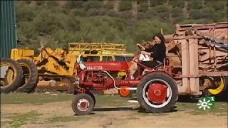 Tractores antiguos de colección Asociación Andaluza de Amigos del Tractor Agrícola [upl. by Atiekahs]