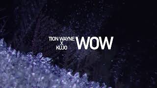 TION WAYNE  WOW PRODKUJO [upl. by Damiano948]