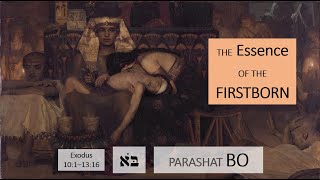 15 Parashat Bo The Essence of Firstborn [upl. by Alrak]