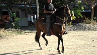 SOL NACIENTE ENTRENANDO JULIO 18 DE 2012 [upl. by Ainuj]