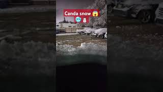 Canada 🌨️❄️❄️❄️❄️😱😱😱viralvideo ytshorts brother [upl. by Blen]