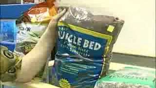 How to Care for Bearded Dragons  Bearded Dragon Substrate [upl. by Bailie]