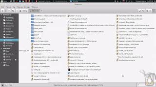 Linux для начинающих  AppImage файлы в Linux [upl. by Gavriella]