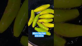 জীবনে কিছু কিছু সময় আসে। shorts shortvideo shortsfeed cookingfood potolvaja shortsviral2024 [upl. by Broder]