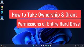 How To Take Ownership and Grant Permissions of Entire Hard Drive in Windows 11 Laptop or PC [upl. by Taddeo930]