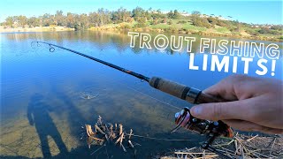 Trout Fishing OC Parks  Laguna Niguel Regional Park Fishing  Part 1 [upl. by Welker]