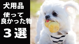 愛犬のために買って・使ってよかった犬用品ベスト３を紹介！！ [upl. by Bourne]