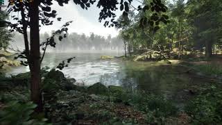 Av1 Codec  MW Broadleaf Trees Forest Biome  Unreal Engine 5 [upl. by Bowra253]