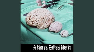 A Horse Called Morty [upl. by Hamlen]