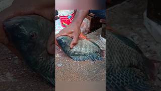 Tilapia fish cutting skills fishcuttingskill fishcutting tilapia bigfish fishcuting shorts [upl. by Leopold]