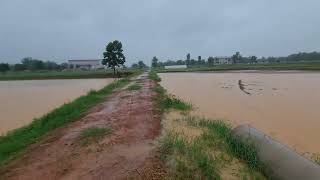 Farm B during rain [upl. by Punak]