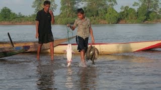 The Mekong Grounds of Plenty47 m Eng subtitles vers httpswwwyoutubecomwatchvG8d0c44rwVs [upl. by Labotsirc]