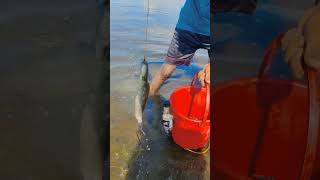 😲Amazing Bottle Fishing Video With Best Waters amp Best Place [upl. by Heyer]