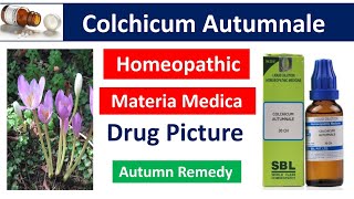 Colchicum Autumnale Homeopathy medicine in hindi by Premwati Yadavhomeopathic medicine [upl. by Heddy]