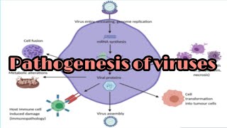 Pathogenesis of viruses [upl. by Lorne]