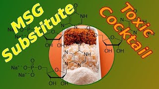 What is Disodium Inosinate and Guanylate  MSG Substitute  Food Label Ingredients [upl. by Nodlew887]